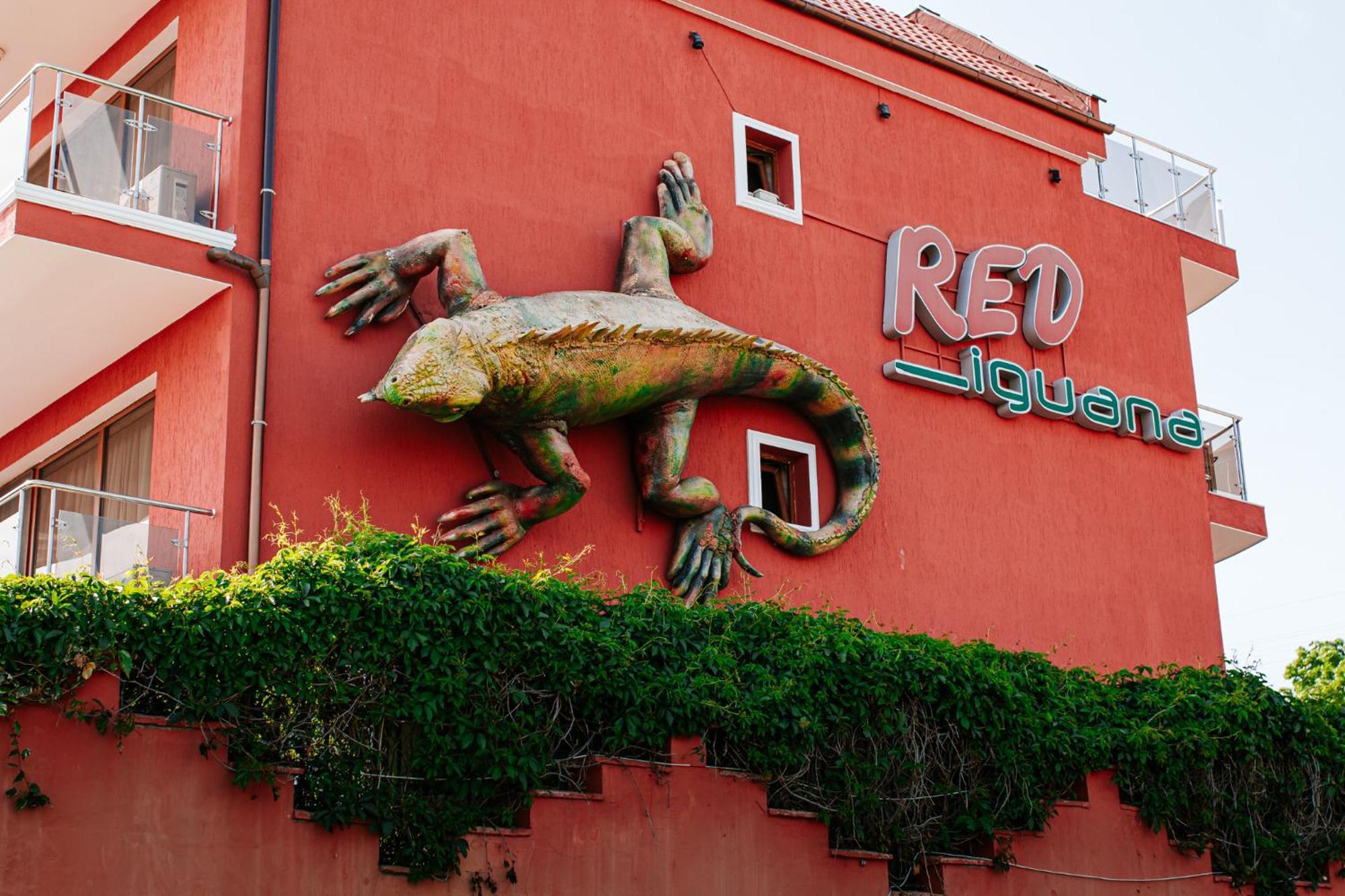Red Iguana Hotel Sveti Vlas Exterior photo